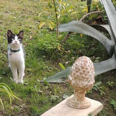 Sous L'olivier Pensión 3*