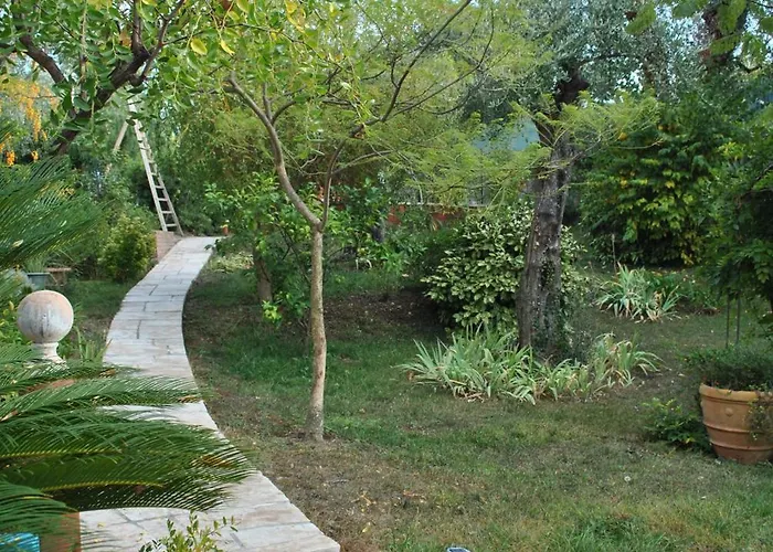 招待所 Sous L'olivier