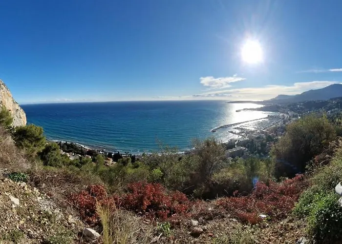 Sous L'olivier 芒通