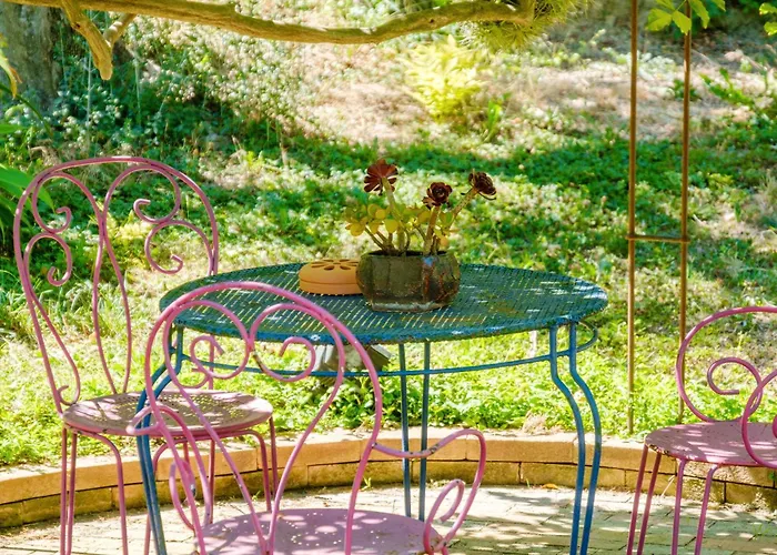 Sous L'olivier 芒通