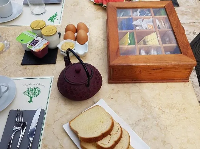 Sous L'olivier 招待所