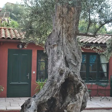 Sous L'olivier Menton