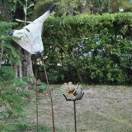 Guest house Sous L'olivier