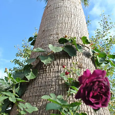 Vendégház Sous L'olivier 3*