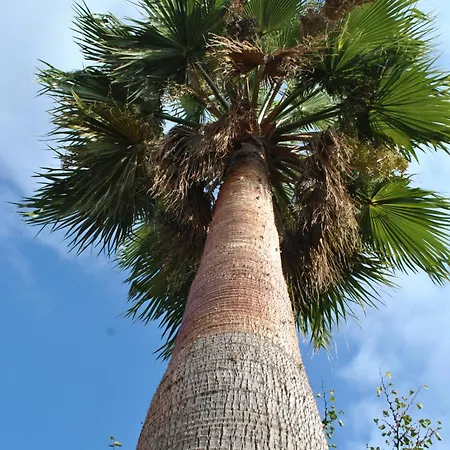 Guest house Sous L'olivier 3*