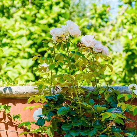 Sous L'olivier Guest house Menton