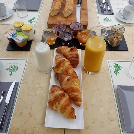 Sous L'olivier Bed & Breakfast *