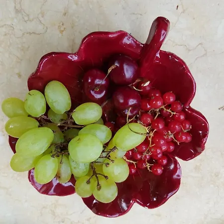 Vendégház Sous L'olivier 3*