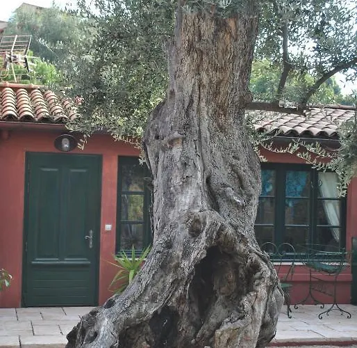 Sous L'olivier Menton