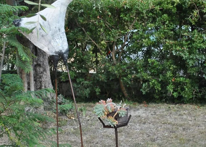 Konukevi Sous L'olivier