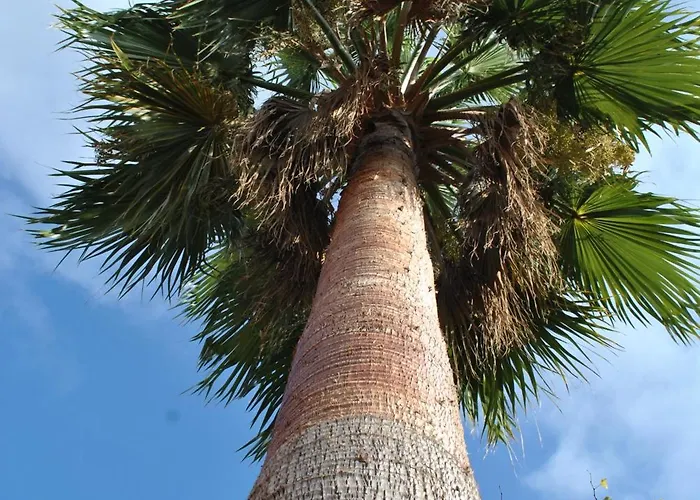 Pensionat Sous L'olivier 4*