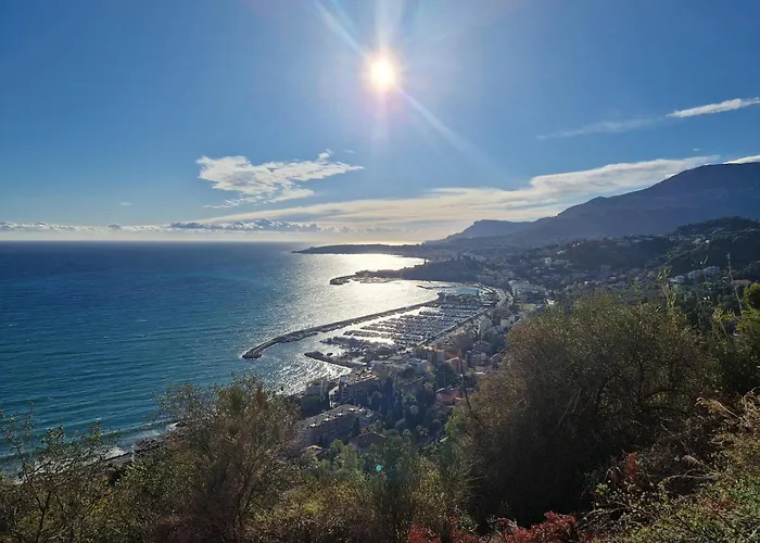 Sous L'olivier Pensionat