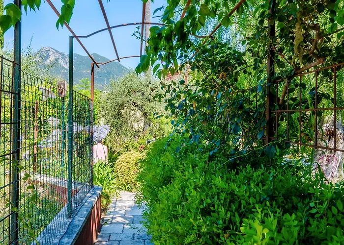 Sous L'olivier 4* Menton