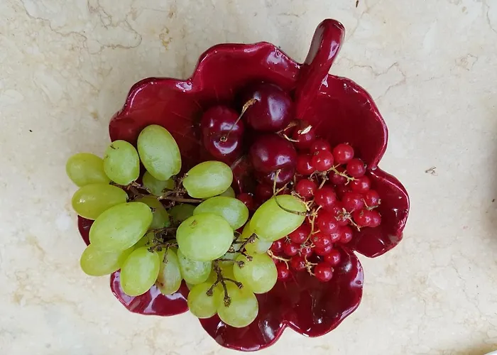 Pensionat Sous L'olivier 4*